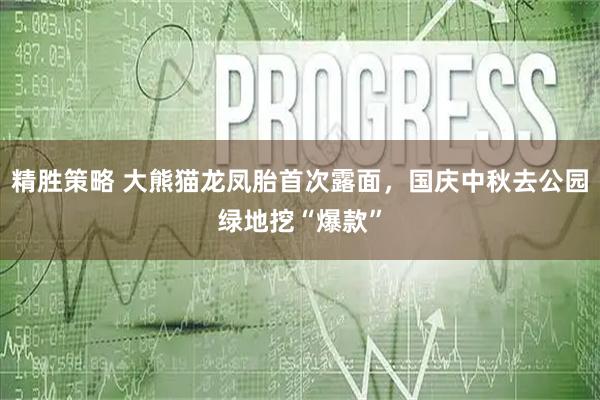 精胜策略 大熊猫龙凤胎首次露面，国庆中秋去公园绿地挖“爆款”