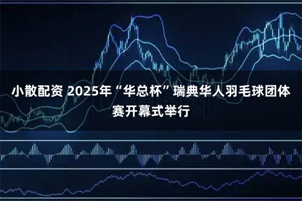 小散配资 2025年“华总杯”瑞典华人羽毛球团体赛开幕式举行